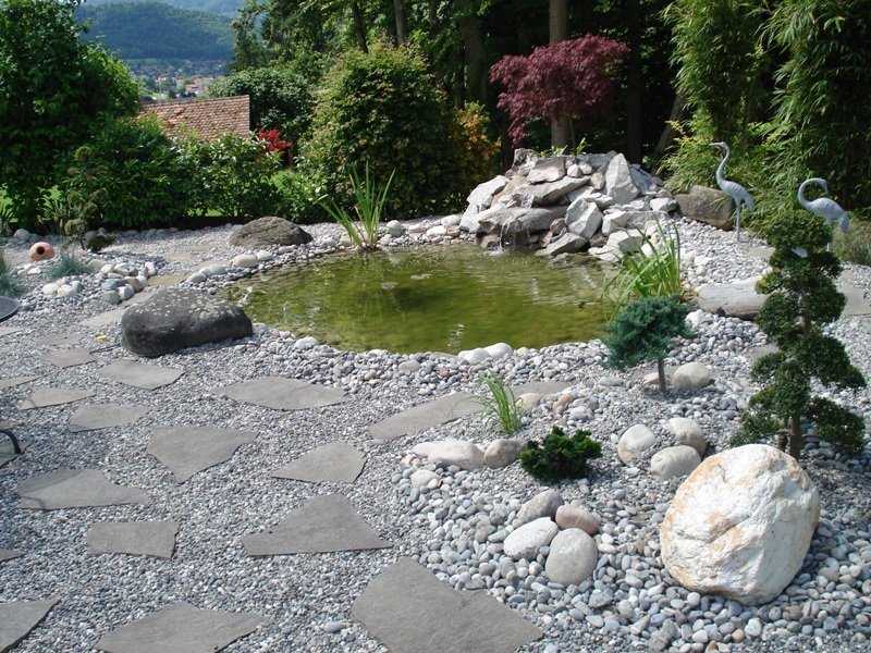 Naturnahes Biotop